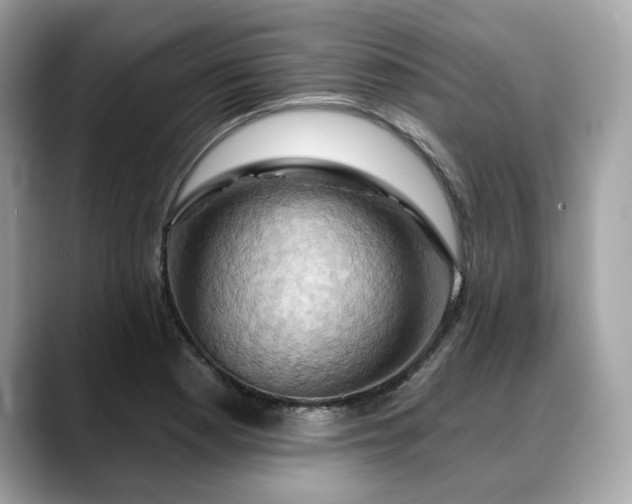 X0000088691177200705311151