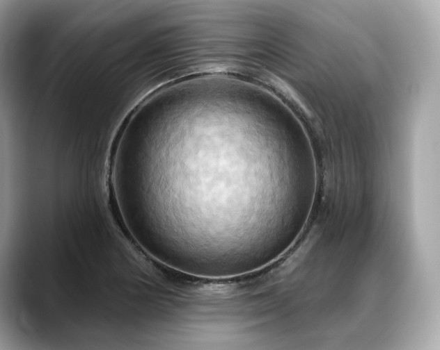 X0000088691178200705311151