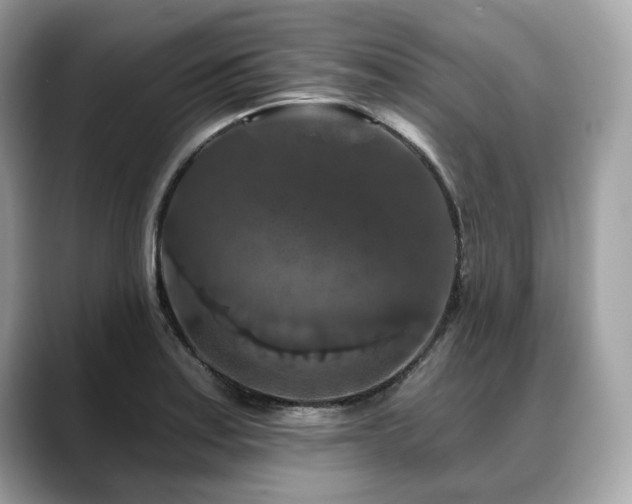 X0000088691179200705311151