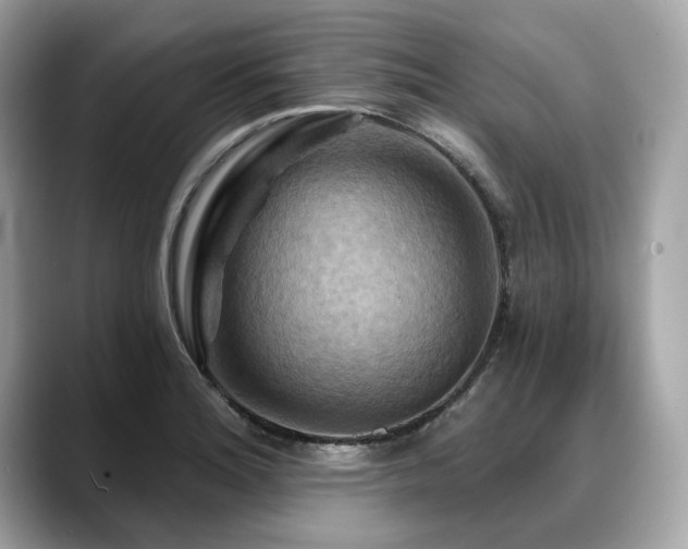X0000088691180200705311151
