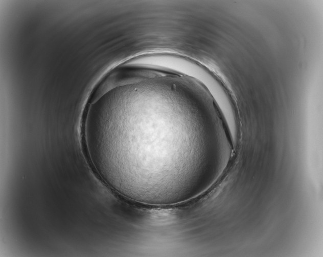 X0000088691181200705311151