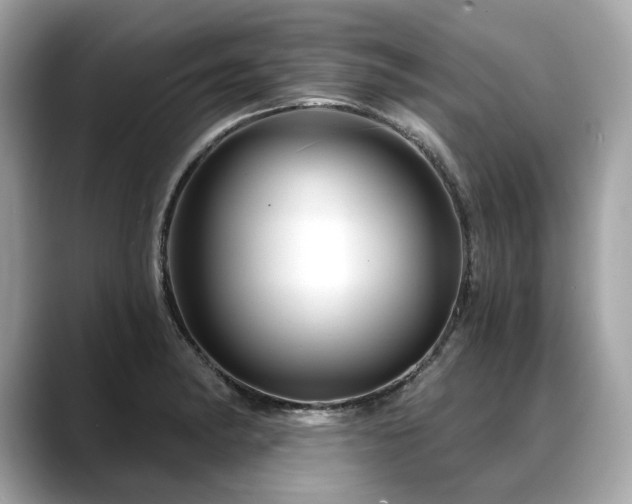 X0000088691182200705311151