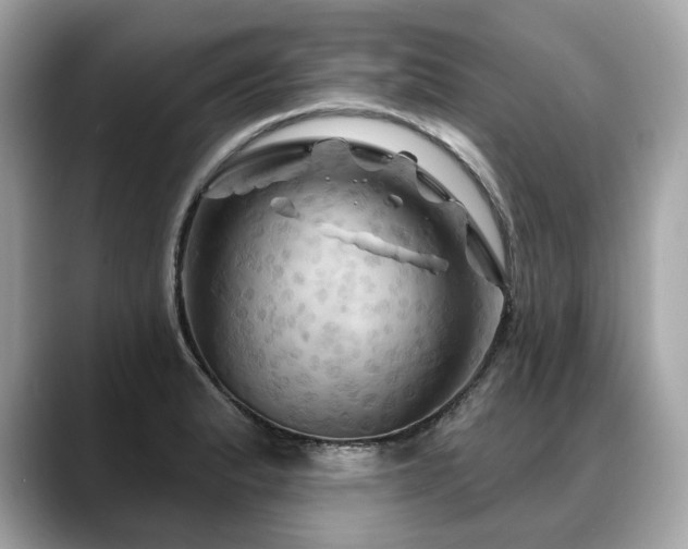 X0000088691183200705311151