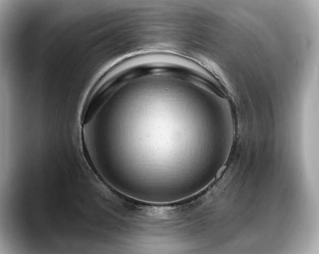 X0000088691184200705311151