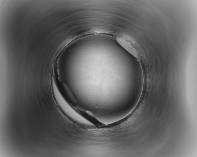 X0000088691185200705311151