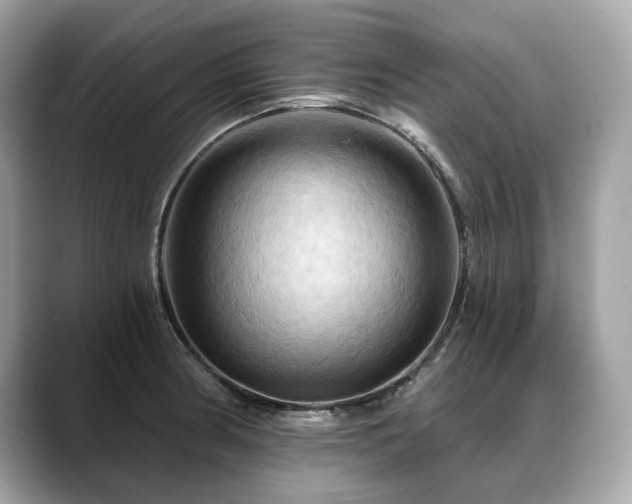 X0000088691186200705311151