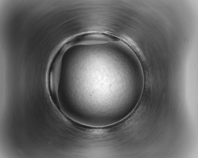 X0000088691188200705311151