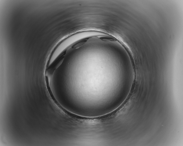 X0000088691189200705311151