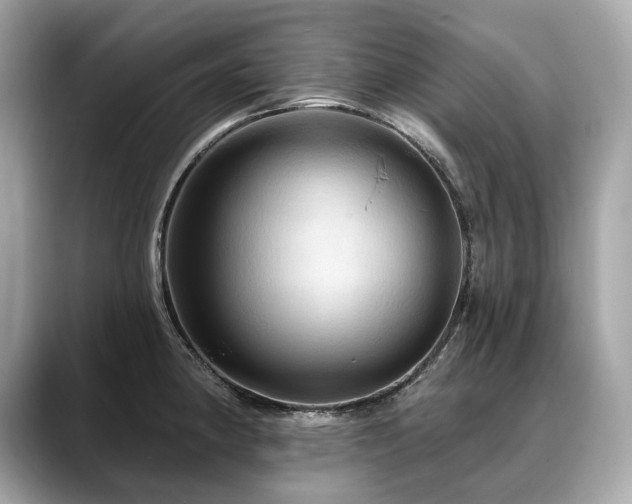 X0000088691190200705311151