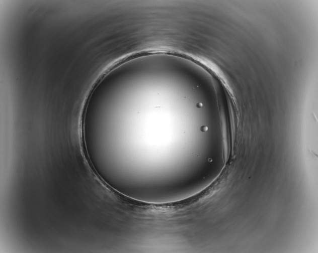X0000088691191200705311151