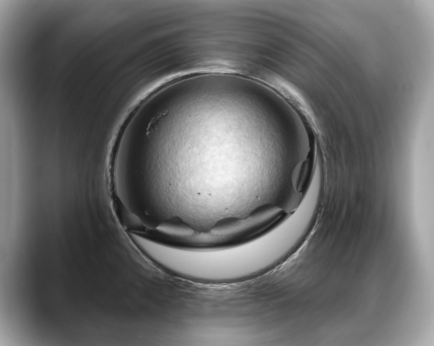 X0000088691192200705311151