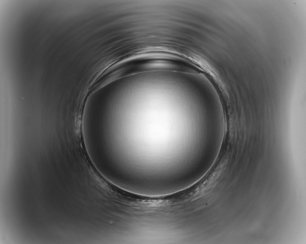 X0000088691193200705311151