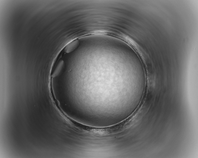 X0000088691194200705311151