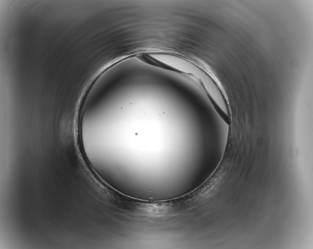 X0000088691195200705311151