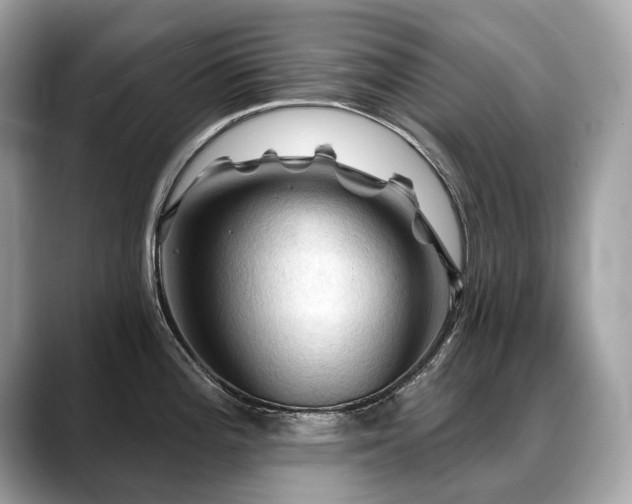X0000088691196200705311151
