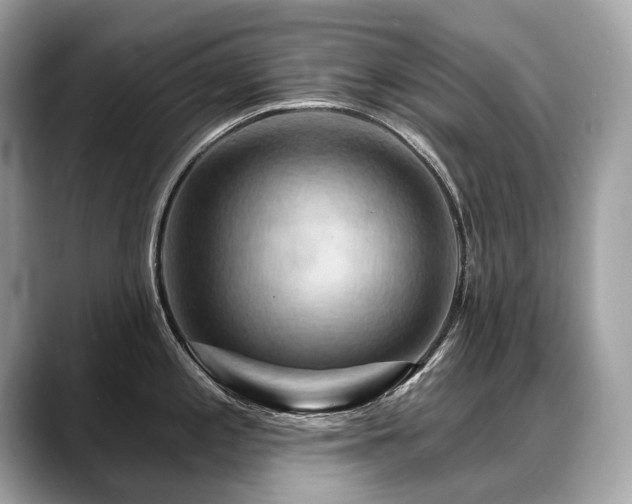 X0000088691197200705311151