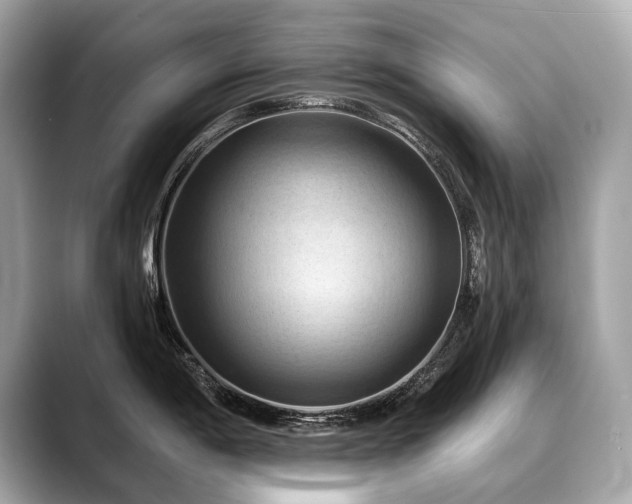 X0000088691198200705311151