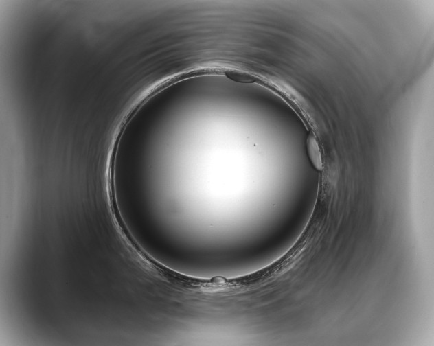 X0000088691199200705311151