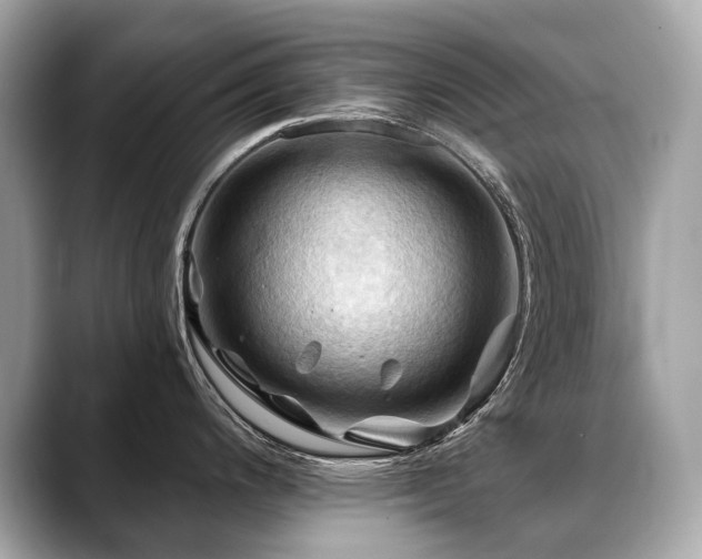 X0000088691200200705311151