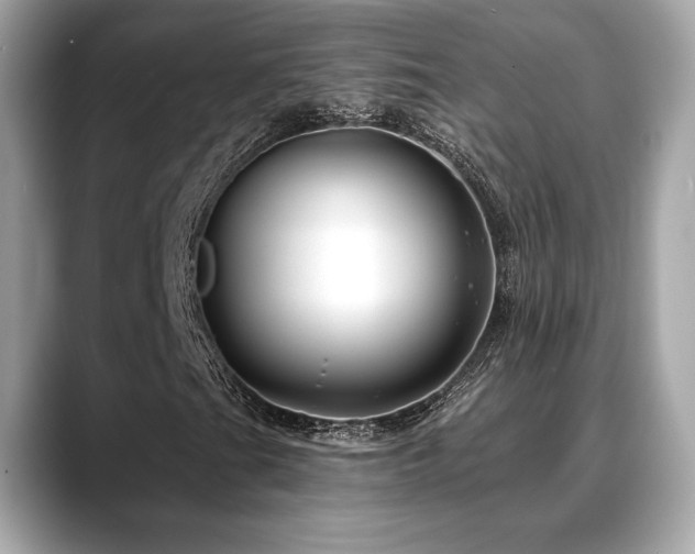 X0000088691201200705311150