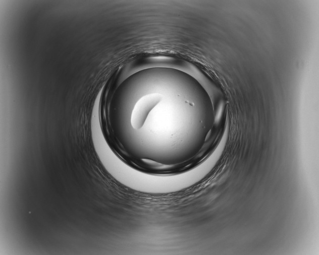 X0000088691202200705311150