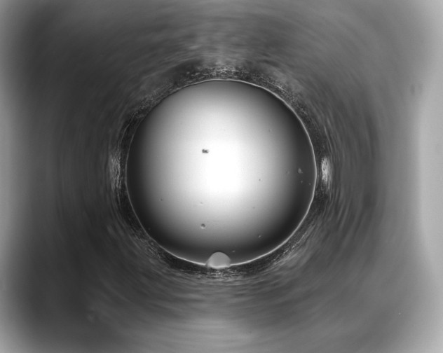 X0000088691203200705311150