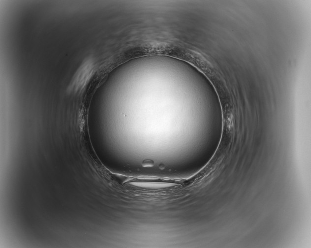 X0000088691204200705311150