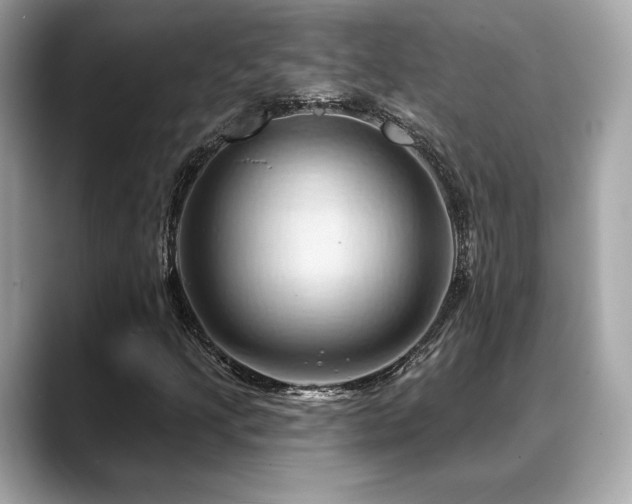 X0000088691205200705311150