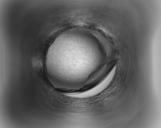 X0000088691206200705311150