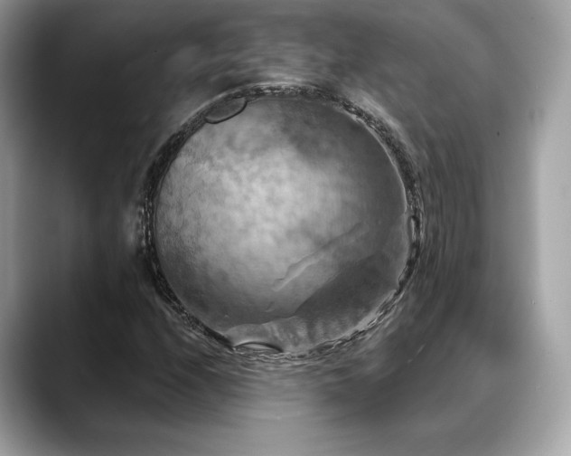 X0000088691208200705311150