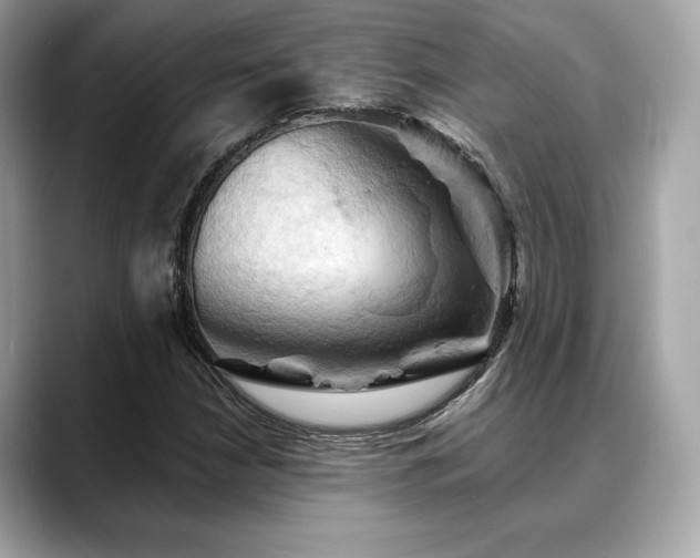 X0000088691210200705311150