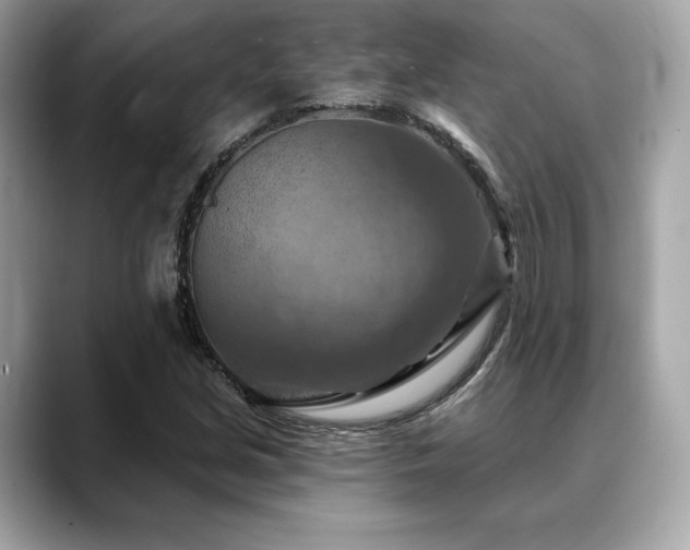 X0000088691213200705311150