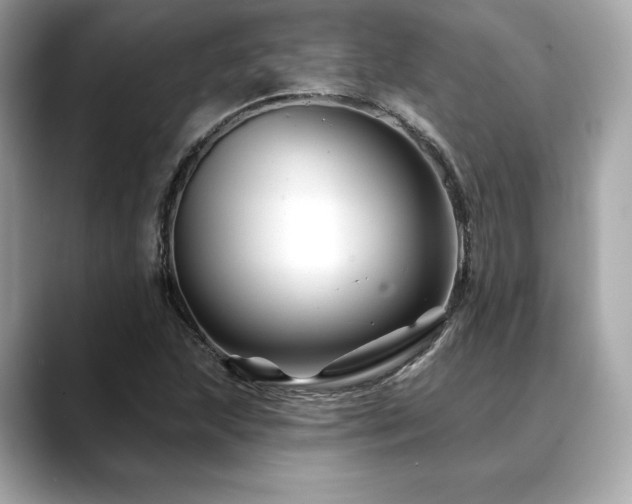 X0000088691215200705311150