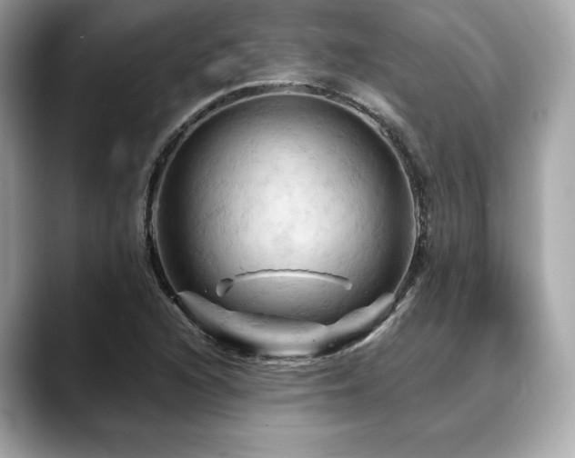 X0000088691216200705311150