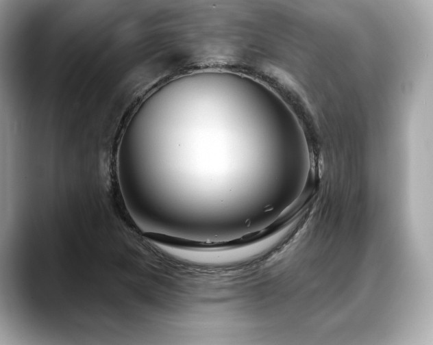 X0000088691217200705311150