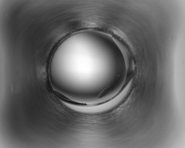 X0000088691218200705311150
