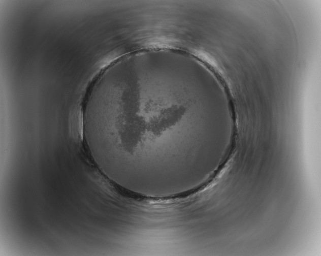 X0000088691219200705311150