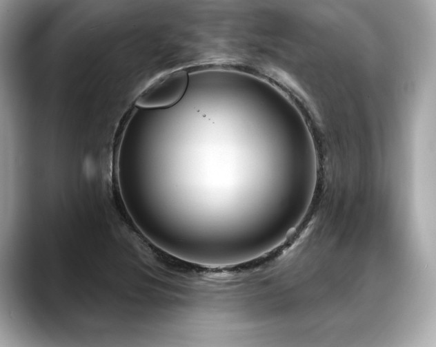X0000088691220200705311150