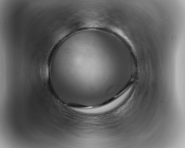 X0000088691221200705311150