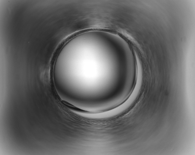 X0000088691222200705311150