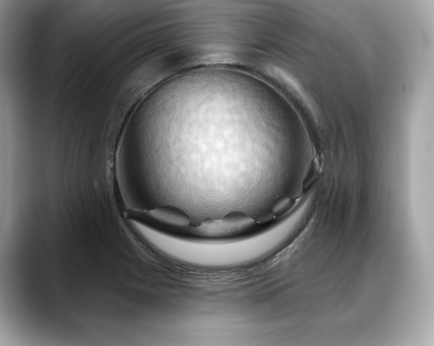 X0000088691225200705311150
