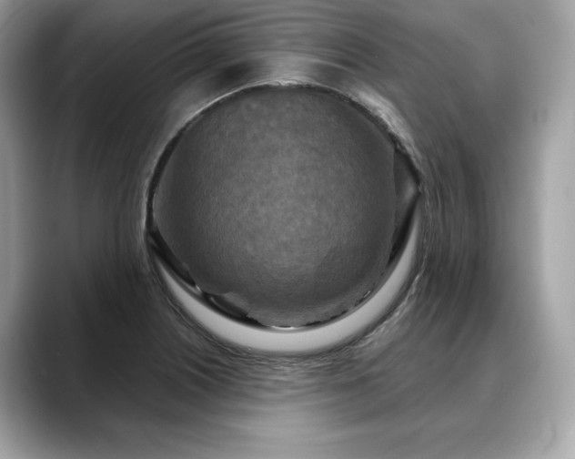 X0000088691226200705311150