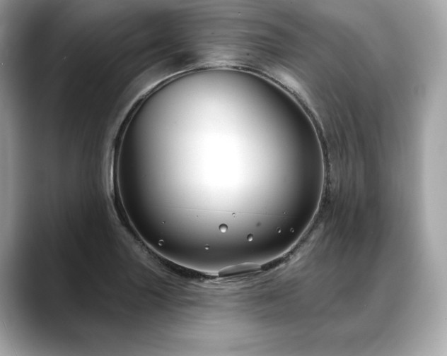 X0000088691227200705311150