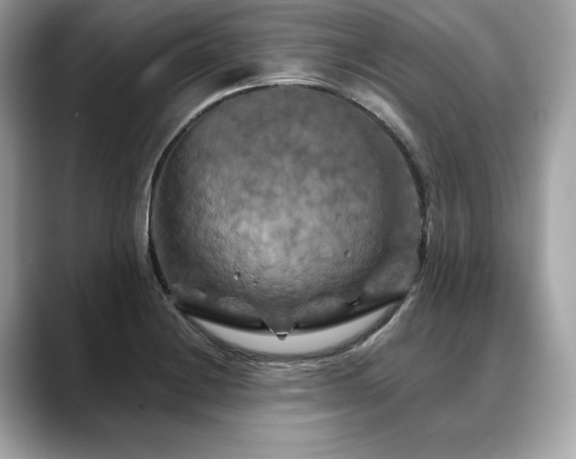 X0000088691228200705311150