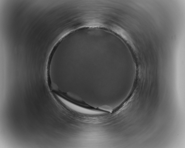 X0000088691229200705311150