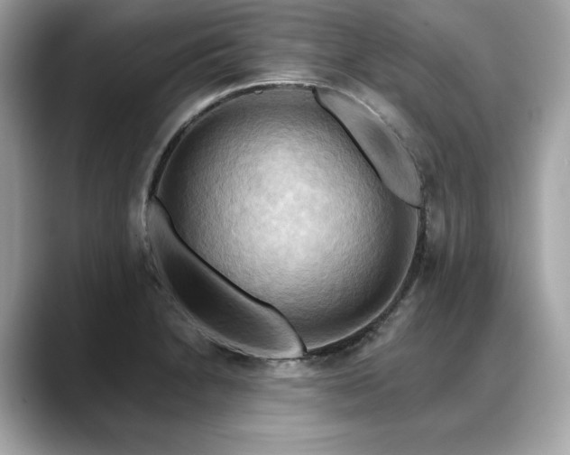 X0000088691230200705311150