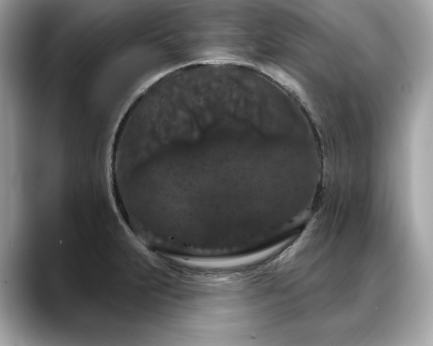 X0000088691231200705311150