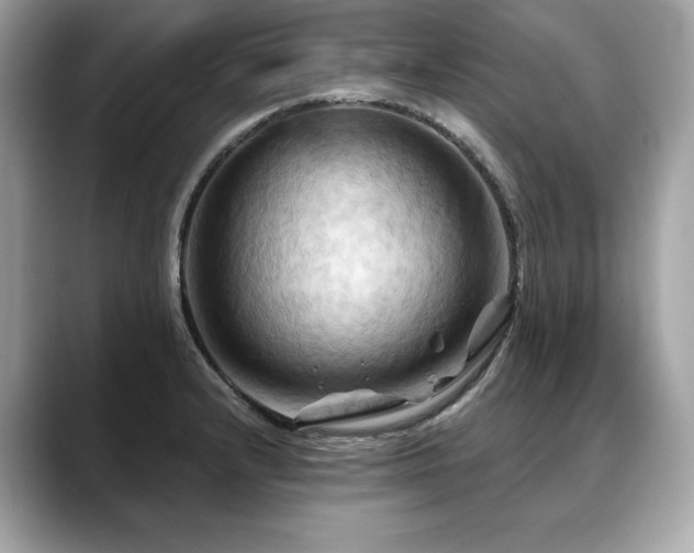 X0000088691232200705311150