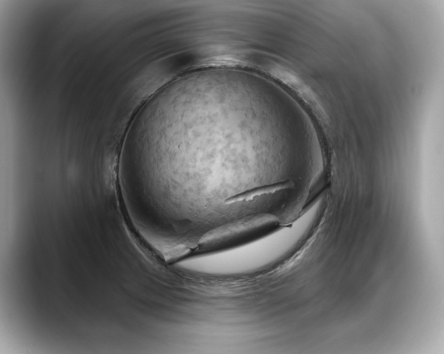 X0000088691233200705311150