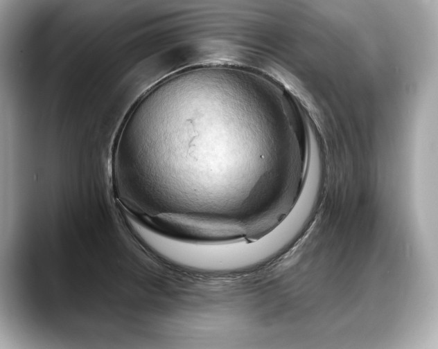 X0000088691234200705311150